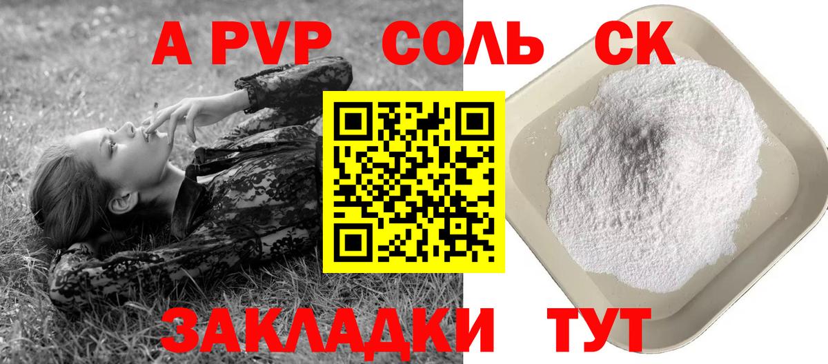 Альфа ПВП СК КРИС Грозный
