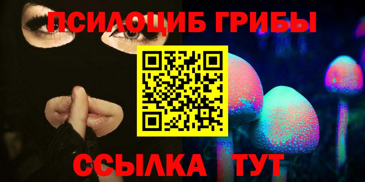 Грозный  Псилоцибиновые грибы Cubensis  Вход с VPN 