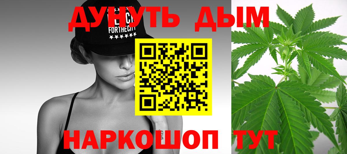 Конопля планчик Грозный